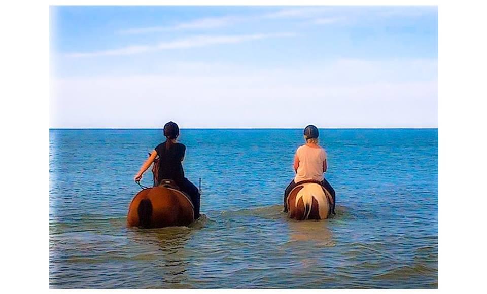 BAIGNADE CHEVAL BLONVILLE deauville cours stage deauville trouville villers loisir
