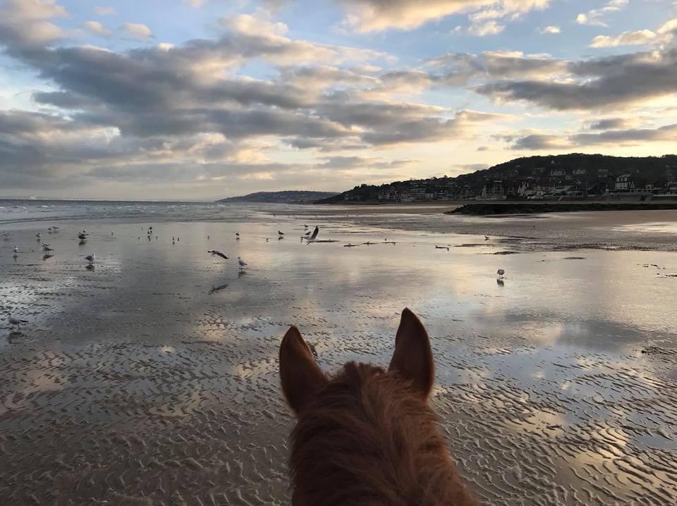 horseback tour on the beach deauville PLAGE A CHEVAL BLONVILLE deauville trouville villers