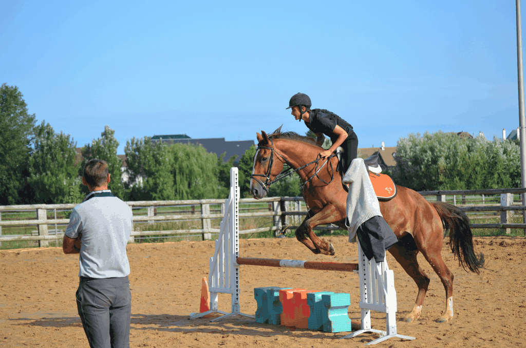 centre équestre blonville sur mer cheval poney promenade plage écuries de blonville deauville villers sur mer normandie #cheval #blonvillesurmer #poney #centreequestre #deauville #deauvillecheval