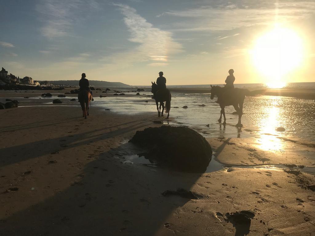 sunset by horse horse back tours beach riding school deauville trouville villers sur mer