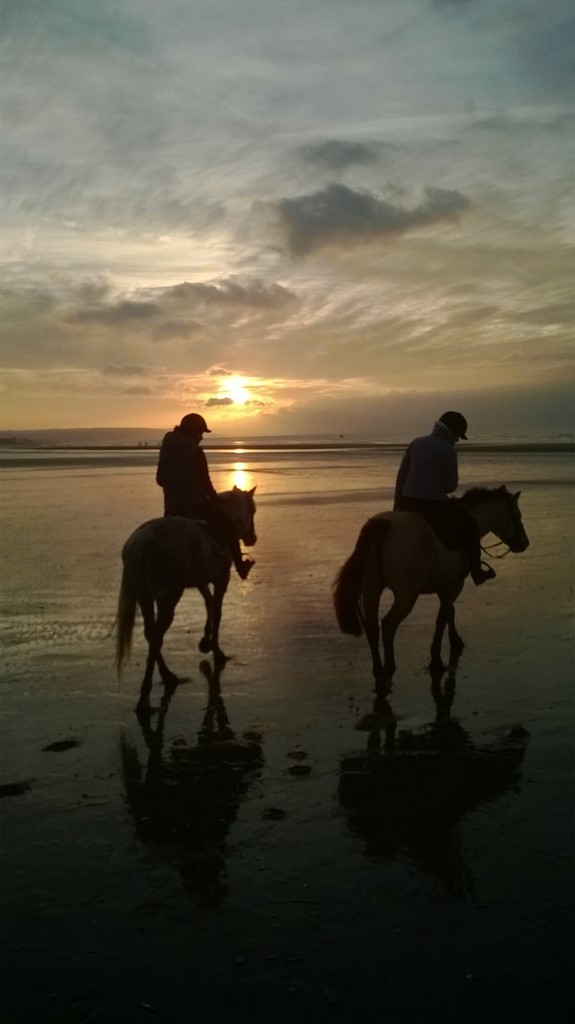 centre équestre blonville sur mer cheval poney promenade plage écuries de blonville deauville villers sur mer normandie #cheval #blonvillesurmer #poney #centreequestre #deauville #deauvillecheval