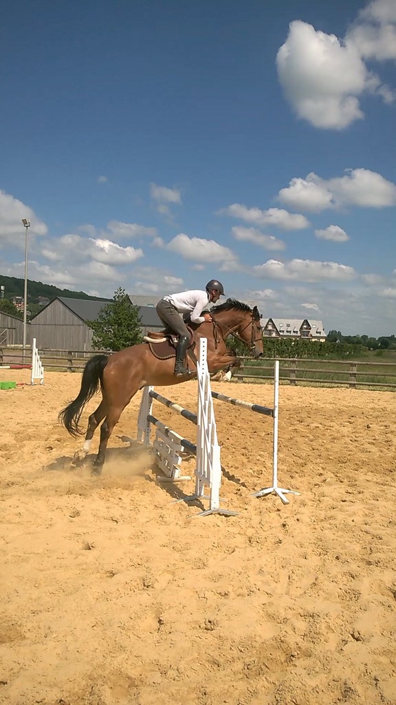 centre équestre blonville sur mer cheval poney promenade plage écuries de blonville deauville villers sur mer normandie #cheval #blonvillesurmer #poney #centreequestre #deauville #deauvillecheval