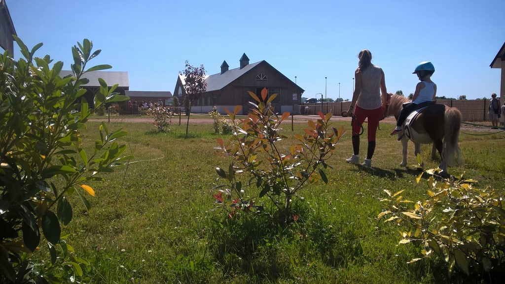 centre équestre blonville sur mer cheval poney promenade plage écuries de blonville deauville villers sur mer normandie #cheval #blonvillesurmer #poney #centreequestre #deauville #deauvillecheval