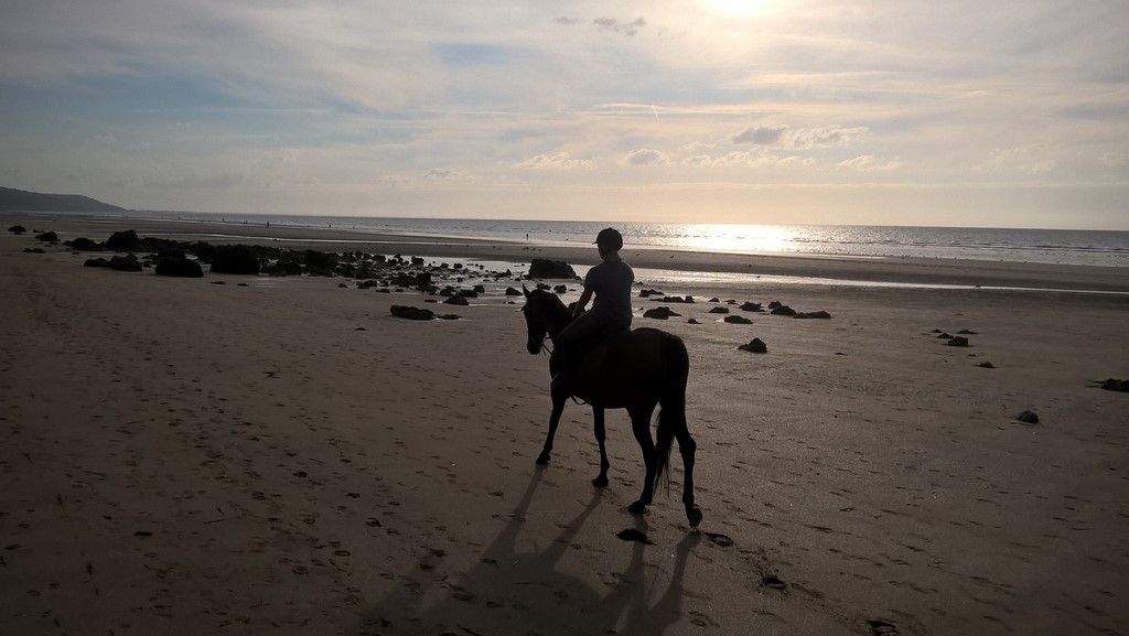 centre équestre blonville sur mer cheval poney promenade plage écuries de blonville deauville villers sur mer normandie #cheval #blonvillesurmer #poney #centreequestre #deauville #deauvillecheval