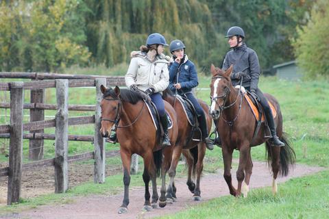stages d'equitation cours d'equitation promenades a cheval enfants adultes cours particuliers d'equitation blonville deauville trouville villers