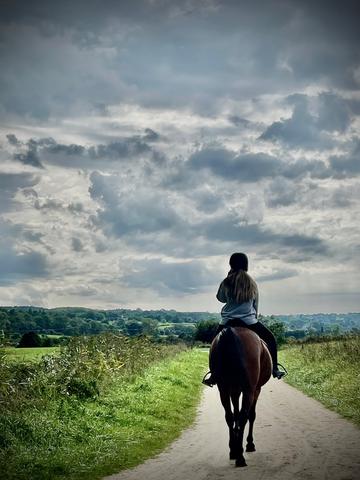 promenade a cheval dans les marais de blonville villers