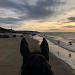a cheval plage de blonville sur mer deauville trouville villers sur mer cheval poney loisir
