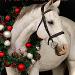Noël cheval décoré