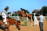cours chevaux poneys centre equestre de blonville deauville cours particuliers