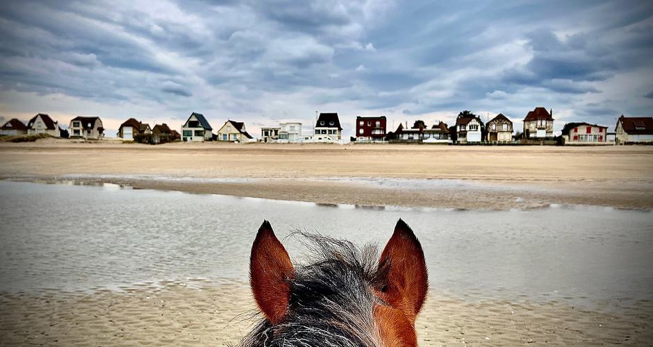 plage de blonville à cheval