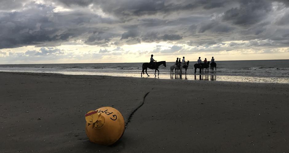 plage à cheval ecurie blonville deauville trouville cours stages cheval poney loisirs