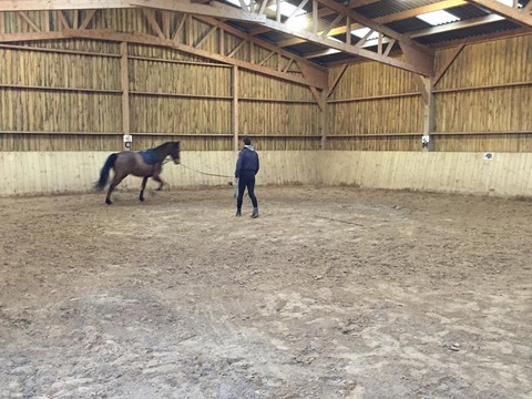 centre équestre blonville sur mer cheval poney promenade plage écuries de blonville deauville villers sur mer normandie #cheval #blonvillesurmer #poney #centreequestre #deauville #deauvillecheval