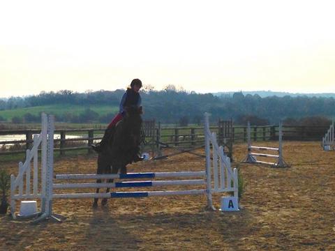 CSO CENTRE EQUESTRE DE BLONVILLE deauville cours stages pension promenade cheval poney