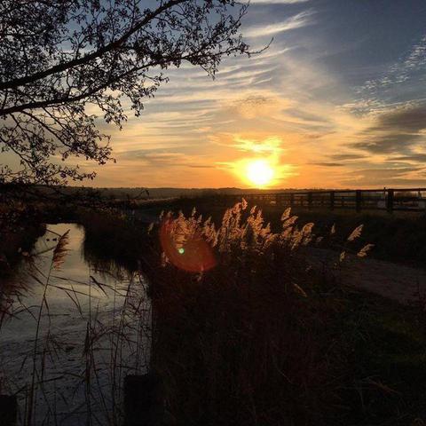 MARAIS CHEVAL BLONVILLE promenade a cheval centre equestre écurie deauville trouville villers