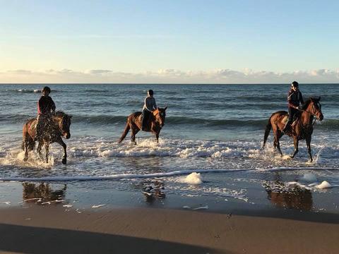 PLAGE CHEVAL BLONVILLE centre equestre blonville deauville trouville villers