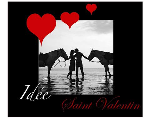 SAINT VALENTIN CHEVAL centre equestre de blonville deauville trouville villers