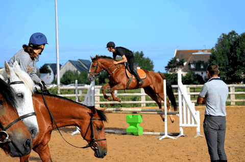 cours chevaux poneys centre equestre de blonville deauville cours particuliers