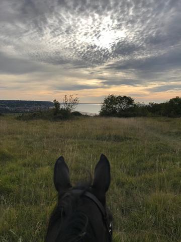 PROMENADE A CHEVAL AU MONT CANISY A BENERVILLE PRES DE DEAUVILLE