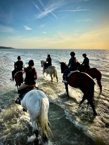 les ados sur la plage avec le centre équestre de blonville