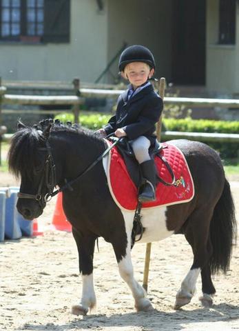cours poney ET STAGES PONEYS