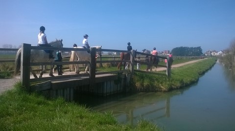 centre équestre blonville sur mer cheval poney promenade plage écuries de blonville deauville villers sur mer normandie #cheval #blonvillesurmer #poney #centreequestre #deauville #deauvillecheval